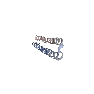 15568_8apf_T1_v1-0
rotational state 2a of the Trypanosoma brucei mitochondrial ATP synthase dimer