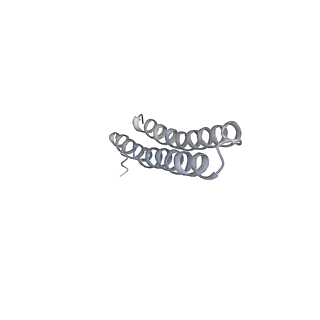 15568_8apf_U1_v1-0
rotational state 2a of the Trypanosoma brucei mitochondrial ATP synthase dimer