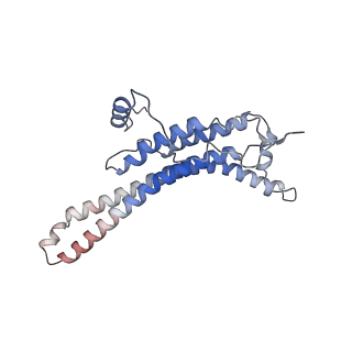 15568_8apf_a_v1-0
rotational state 2a of the Trypanosoma brucei mitochondrial ATP synthase dimer