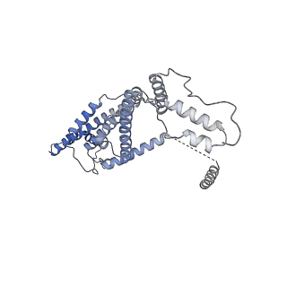 15568_8apf_d_v1-0
rotational state 2a of the Trypanosoma brucei mitochondrial ATP synthase dimer