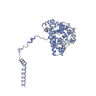 15568_8apf_e_v1-0
rotational state 2a of the Trypanosoma brucei mitochondrial ATP synthase dimer