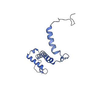 15568_8apf_f_v1-0
rotational state 2a of the Trypanosoma brucei mitochondrial ATP synthase dimer