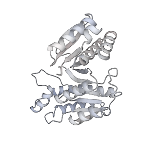 15568_8apf_g_v1-0
rotational state 2a of the Trypanosoma brucei mitochondrial ATP synthase dimer