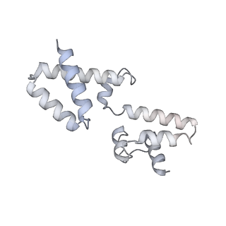 15568_8apf_h_v1-0
rotational state 2a of the Trypanosoma brucei mitochondrial ATP synthase dimer
