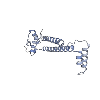 15568_8apf_j_v1-0
rotational state 2a of the Trypanosoma brucei mitochondrial ATP synthase dimer