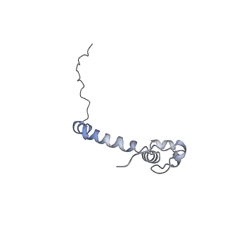 15568_8apf_k_v1-0
rotational state 2a of the Trypanosoma brucei mitochondrial ATP synthase dimer