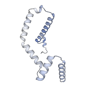 15568_8apf_m_v1-0
rotational state 2a of the Trypanosoma brucei mitochondrial ATP synthase dimer