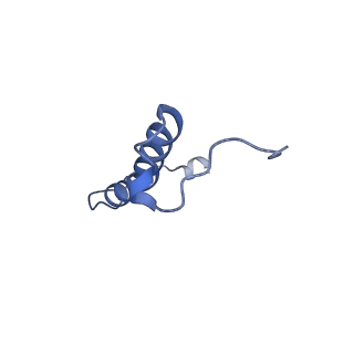15568_8apf_r_v1-0
rotational state 2a of the Trypanosoma brucei mitochondrial ATP synthase dimer