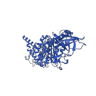 15570_8apg_A1_v1-0
rotational state 2b of the Trypanosoma brucei mitochondrial ATP synthase dimer