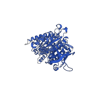 15570_8apg_B1_v1-0
rotational state 2b of the Trypanosoma brucei mitochondrial ATP synthase dimer