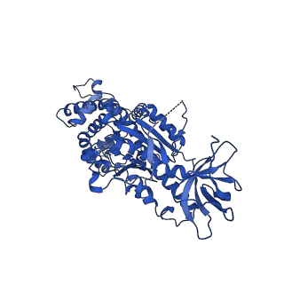 15570_8apg_C1_v1-0
rotational state 2b of the Trypanosoma brucei mitochondrial ATP synthase dimer