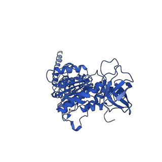 15570_8apg_D1_v1-0
rotational state 2b of the Trypanosoma brucei mitochondrial ATP synthase dimer