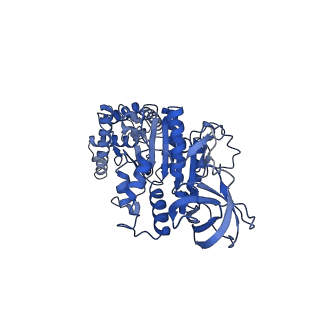 15570_8apg_F1_v1-0
rotational state 2b of the Trypanosoma brucei mitochondrial ATP synthase dimer