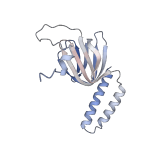 15570_8apg_H1_v1-0
rotational state 2b of the Trypanosoma brucei mitochondrial ATP synthase dimer