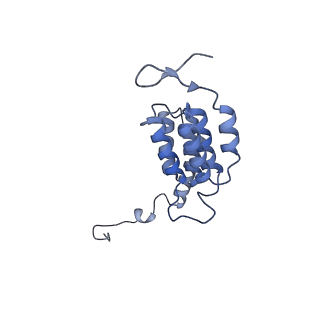 15570_8apg_J1_v1-0
rotational state 2b of the Trypanosoma brucei mitochondrial ATP synthase dimer