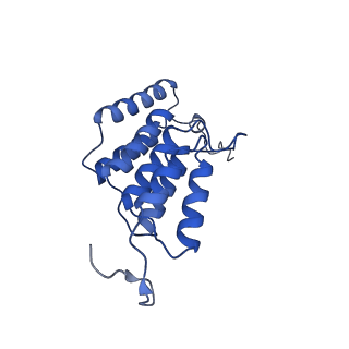 15570_8apg_K1_v1-0
rotational state 2b of the Trypanosoma brucei mitochondrial ATP synthase dimer