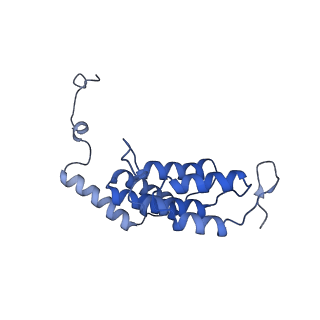 15570_8apg_L1_v1-0
rotational state 2b of the Trypanosoma brucei mitochondrial ATP synthase dimer