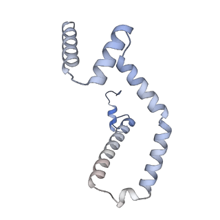 15570_8apg_M_v1-0
rotational state 2b of the Trypanosoma brucei mitochondrial ATP synthase dimer