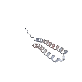 15570_8apg_P1_v1-0
rotational state 2b of the Trypanosoma brucei mitochondrial ATP synthase dimer
