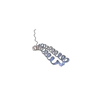 15570_8apg_Q1_v1-0
rotational state 2b of the Trypanosoma brucei mitochondrial ATP synthase dimer