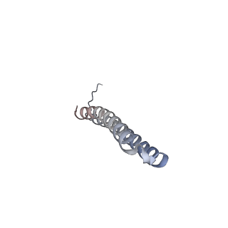 15570_8apg_R1_v1-0
rotational state 2b of the Trypanosoma brucei mitochondrial ATP synthase dimer