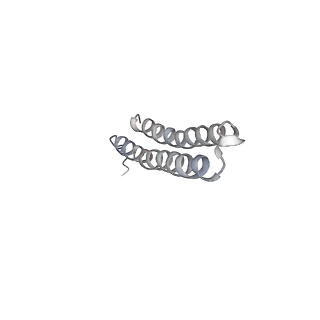 15570_8apg_U1_v1-0
rotational state 2b of the Trypanosoma brucei mitochondrial ATP synthase dimer