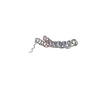 15570_8apg_V1_v1-0
rotational state 2b of the Trypanosoma brucei mitochondrial ATP synthase dimer