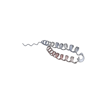 15570_8apg_X1_v1-0
rotational state 2b of the Trypanosoma brucei mitochondrial ATP synthase dimer