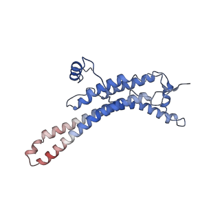 15570_8apg_a_v1-0
rotational state 2b of the Trypanosoma brucei mitochondrial ATP synthase dimer