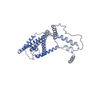 15570_8apg_d_v1-0
rotational state 2b of the Trypanosoma brucei mitochondrial ATP synthase dimer