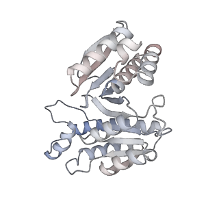 15570_8apg_g_v1-0
rotational state 2b of the Trypanosoma brucei mitochondrial ATP synthase dimer