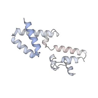 15570_8apg_h_v1-0
rotational state 2b of the Trypanosoma brucei mitochondrial ATP synthase dimer