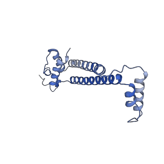 15570_8apg_j_v1-0
rotational state 2b of the Trypanosoma brucei mitochondrial ATP synthase dimer
