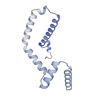15570_8apg_m_v1-0
rotational state 2b of the Trypanosoma brucei mitochondrial ATP synthase dimer