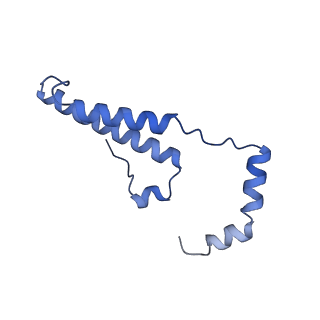 15570_8apg_o_v1-0
rotational state 2b of the Trypanosoma brucei mitochondrial ATP synthase dimer