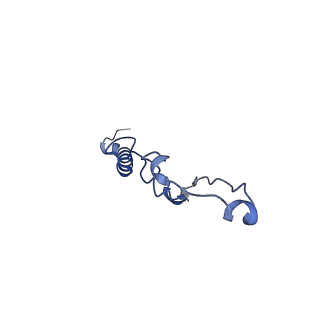 15570_8apg_p_v1-0
rotational state 2b of the Trypanosoma brucei mitochondrial ATP synthase dimer