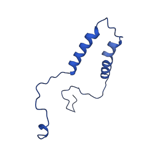 15570_8apg_q_v1-0
rotational state 2b of the Trypanosoma brucei mitochondrial ATP synthase dimer
