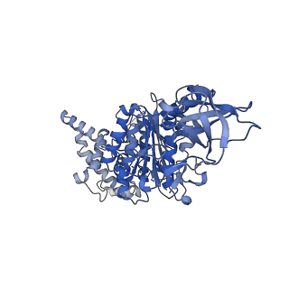 15572_8apj_A1_v1-0
rotational state 2d of Trypanosoma brucei mitochondrial ATP synthase