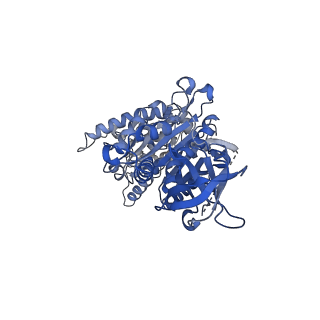15572_8apj_B1_v1-0
rotational state 2d of Trypanosoma brucei mitochondrial ATP synthase