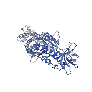 15572_8apj_C1_v1-0
rotational state 2d of Trypanosoma brucei mitochondrial ATP synthase