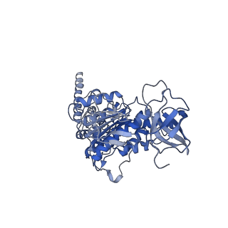 15572_8apj_D1_v1-0
rotational state 2d of Trypanosoma brucei mitochondrial ATP synthase