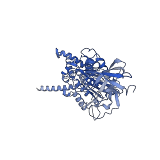 15572_8apj_E1_v1-0
rotational state 2d of Trypanosoma brucei mitochondrial ATP synthase