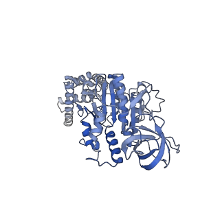 15572_8apj_F1_v1-0
rotational state 2d of Trypanosoma brucei mitochondrial ATP synthase