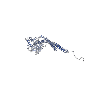 15572_8apj_G1_v1-0
rotational state 2d of Trypanosoma brucei mitochondrial ATP synthase