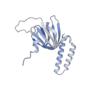 15572_8apj_H1_v1-0
rotational state 2d of Trypanosoma brucei mitochondrial ATP synthase