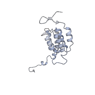 15572_8apj_J1_v1-0
rotational state 2d of Trypanosoma brucei mitochondrial ATP synthase