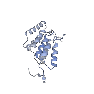 15572_8apj_K1_v1-0
rotational state 2d of Trypanosoma brucei mitochondrial ATP synthase