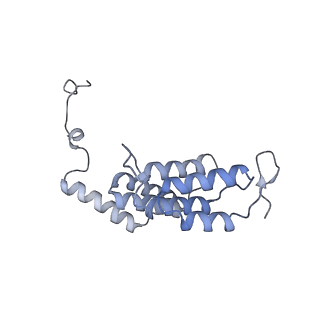 15572_8apj_L1_v1-0
rotational state 2d of Trypanosoma brucei mitochondrial ATP synthase