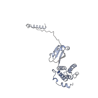 15572_8apj_M1_v1-0
rotational state 2d of Trypanosoma brucei mitochondrial ATP synthase