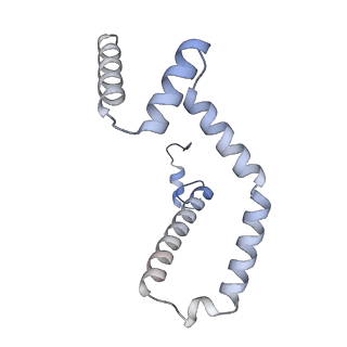 15572_8apj_M_v1-0
rotational state 2d of Trypanosoma brucei mitochondrial ATP synthase